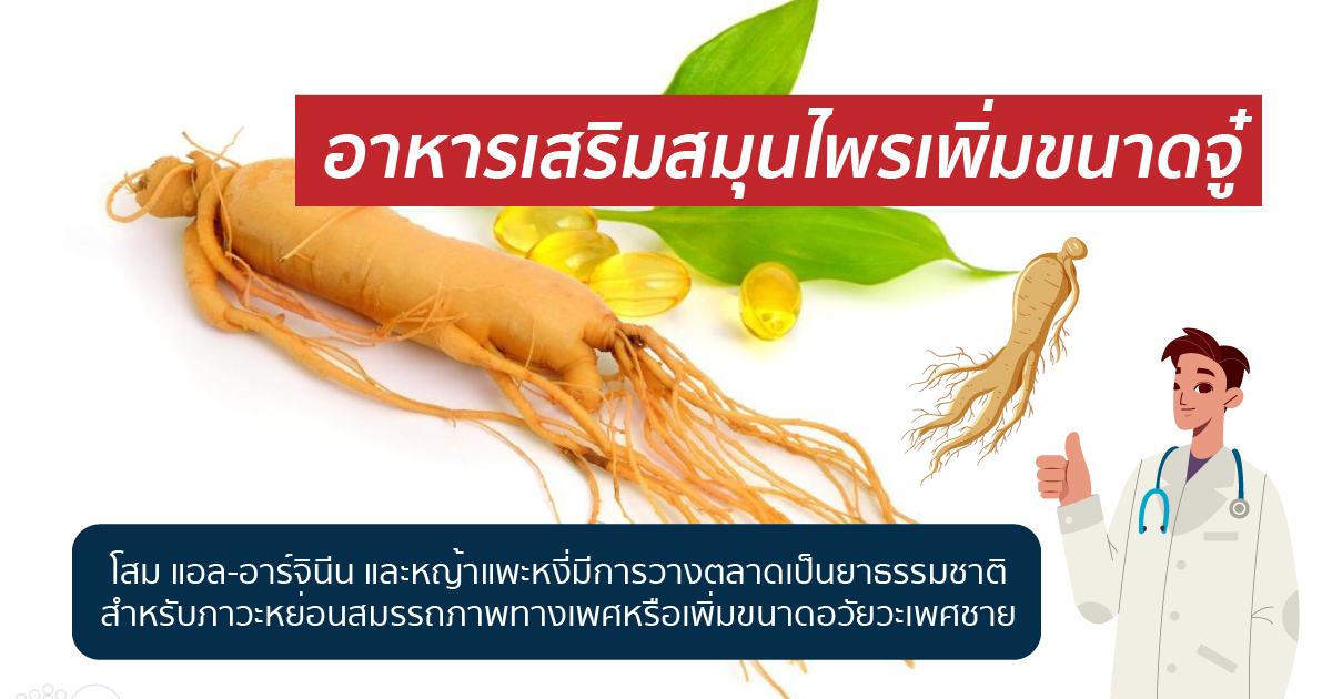 สมุนไพรเพิ่มขนาดอวัยวะเพศ