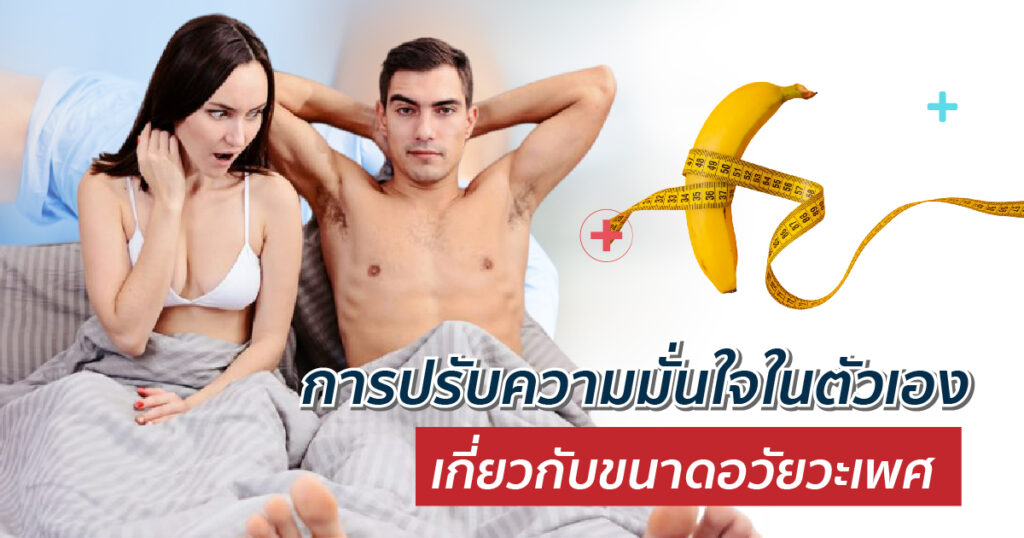 ขนาดอวัยวะเพศ