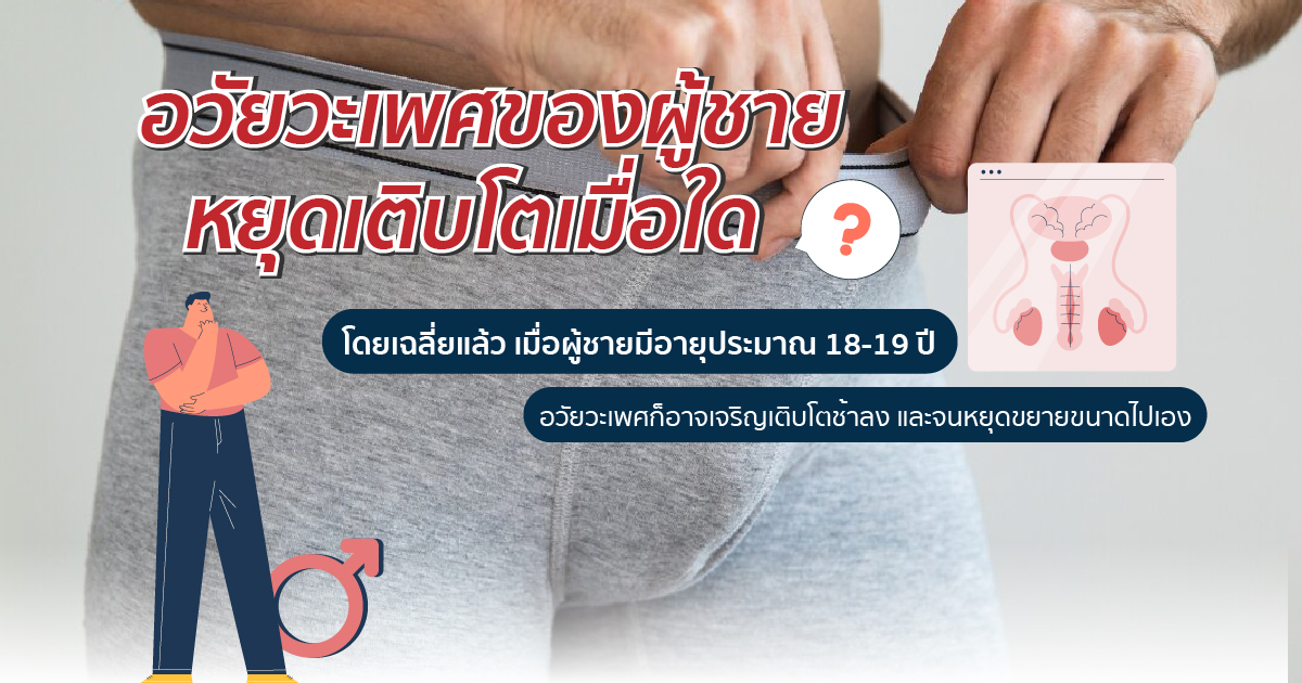 อวัยวะเพศชาย