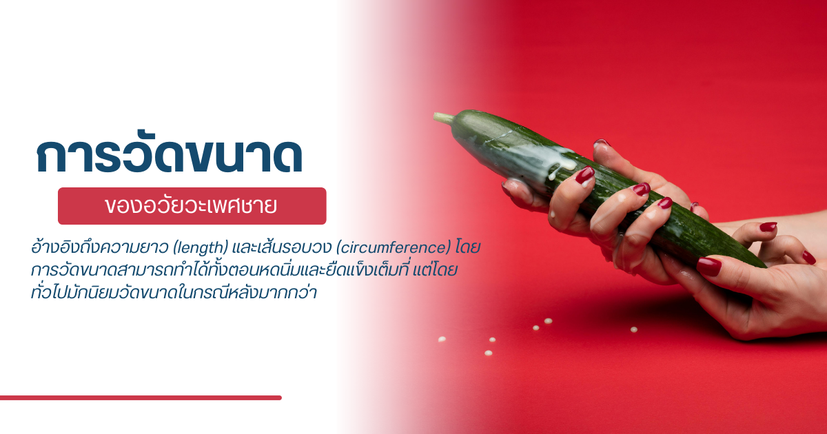 การวัดขนาดของอวัยวะเพศชาย