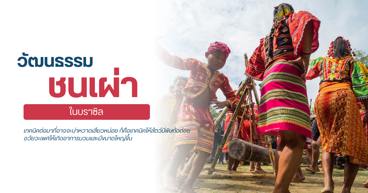 วัฒนธรรมชนเผ่าในบราซิล