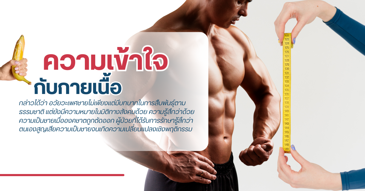 อวัยวะเพศชาย