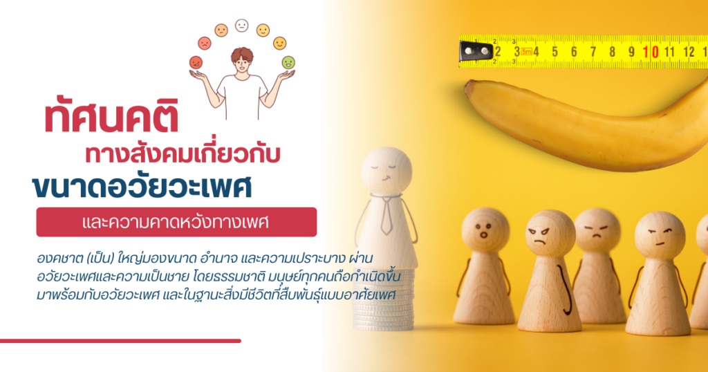 ความคาดหวังทางเพศ