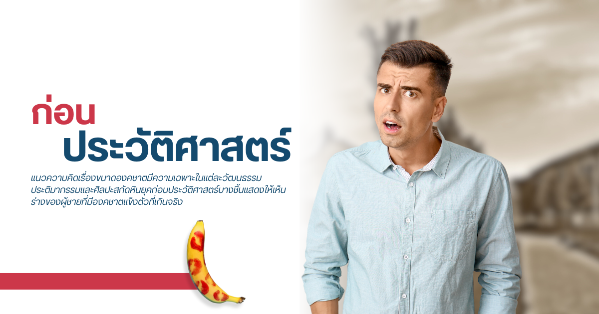 แนวความคิดเรื่องขนาดองคชาต