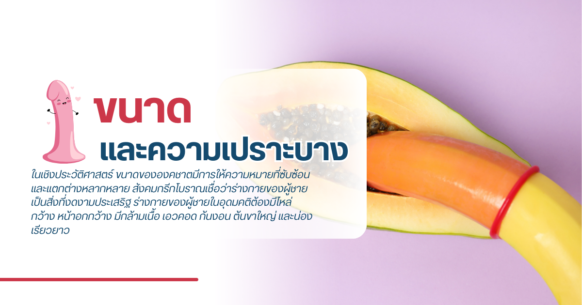 ขนาดขององคชาต