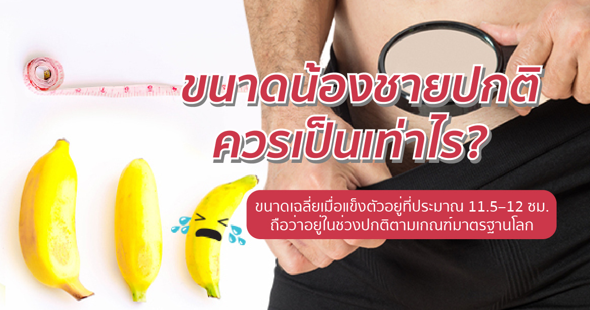 ขนาดมาตรฐาน