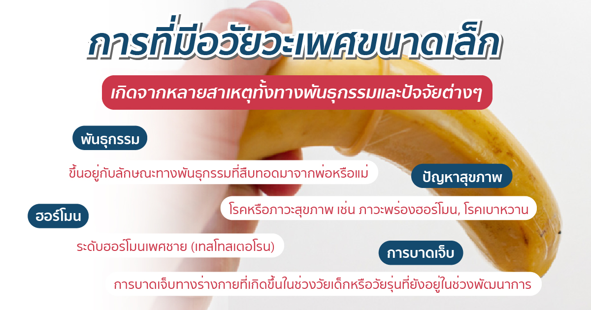 สาเหตุอวัยวะเพศเล็ก