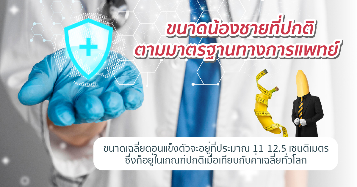 ขนาดอวัยวะเพศที่ปกติ