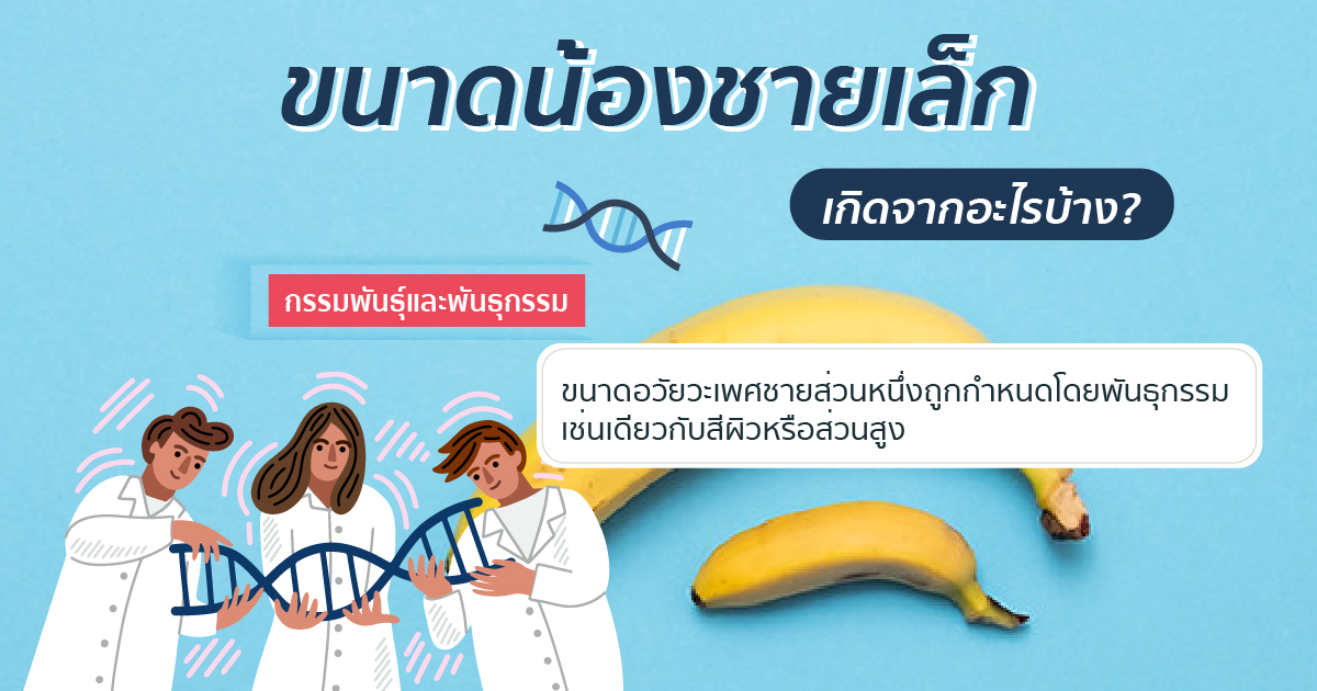 อวัยวะเพศเล็ก เกิดจาก